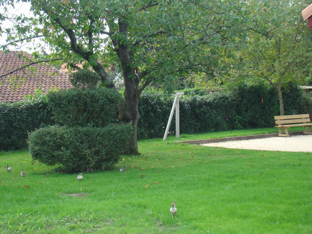 Les Gites Malidri Pontonx-sur-lʼAdour Exterior foto